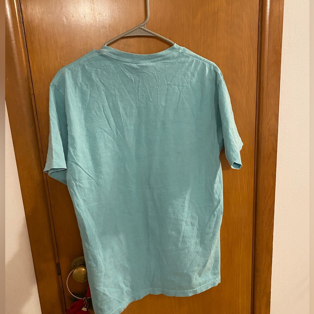 Size medium teal graphic door county t shirt